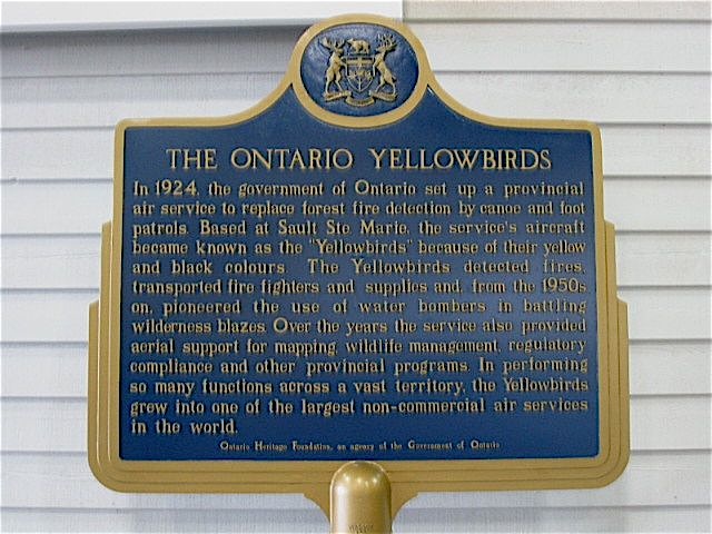 The Ontario Yellowbirds