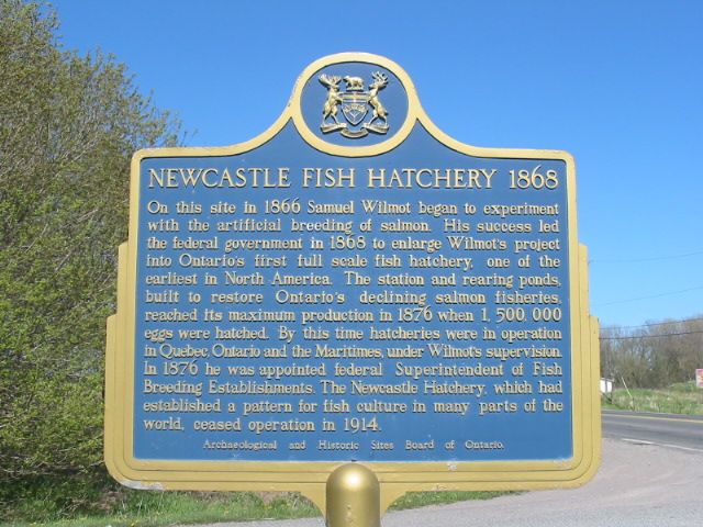 Newcastle Fish Hatchery 1868