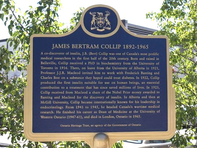 James Bertram Collip