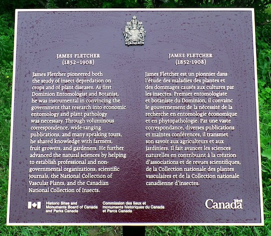 Plaque Photo