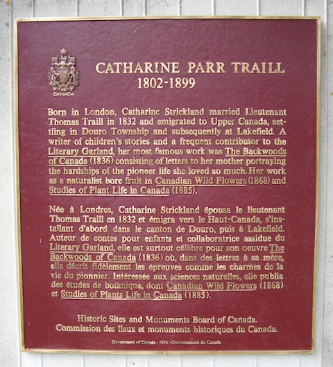 Plaque Photo