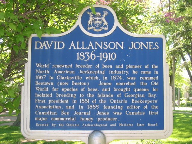 David Allanson Jones 1836-1910