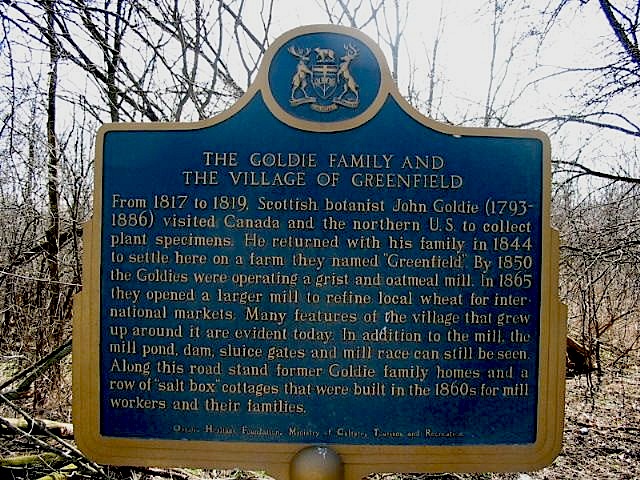 The Goldie Family and the Village of Greenfield